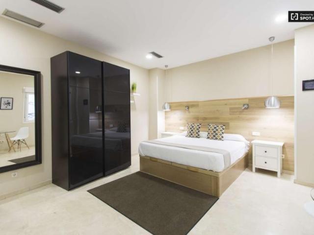 Apartamentos Madrid Madrid 101735999