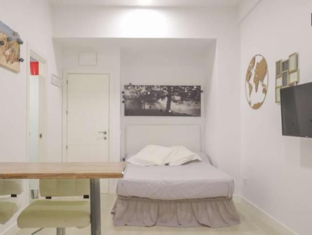 Apartamentos Madrid Madrid 101736804