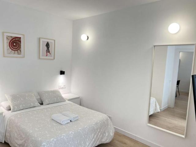 Apartamentos Madrid Madrid 101762126
