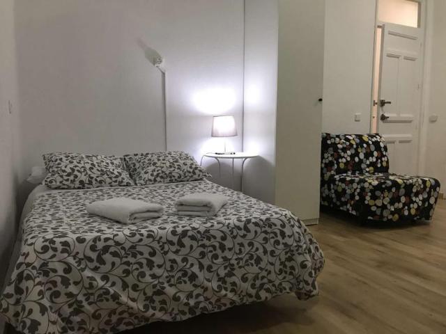 Apartamentos Madrid Madrid 101765398