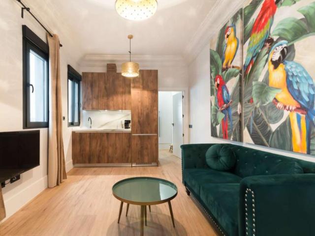 Apartamentos Madrid Madrid 101772507
