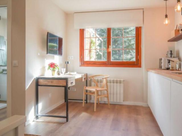 Apartamentos Madrid Madrid 101772258