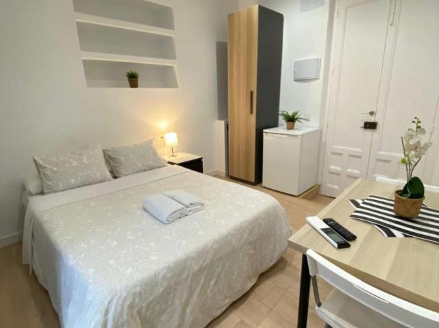 Apartamentos Madrid Madrid 101772287