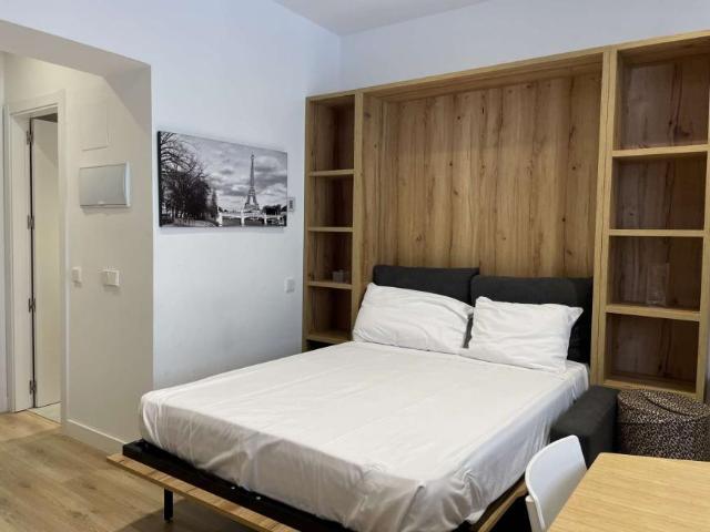 Apartamentos Madrid Madrid 101776048