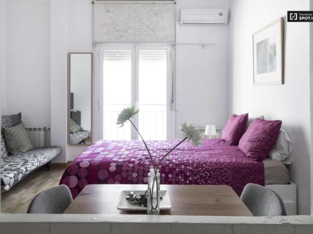 Apartamentos Madrid Madrid 101776060