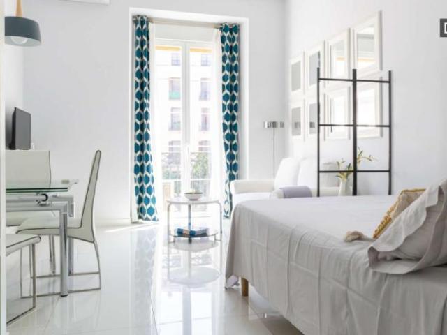 Apartamentos Madrid Madrid 101785967