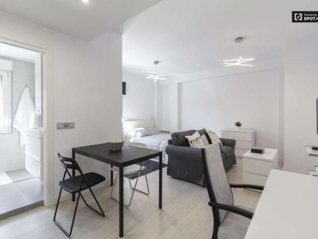 Apartamentos Madrid Madrid 101788963