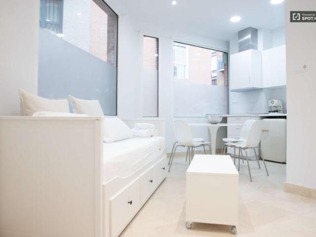 Apartamentos Madrid Madrid 101806858