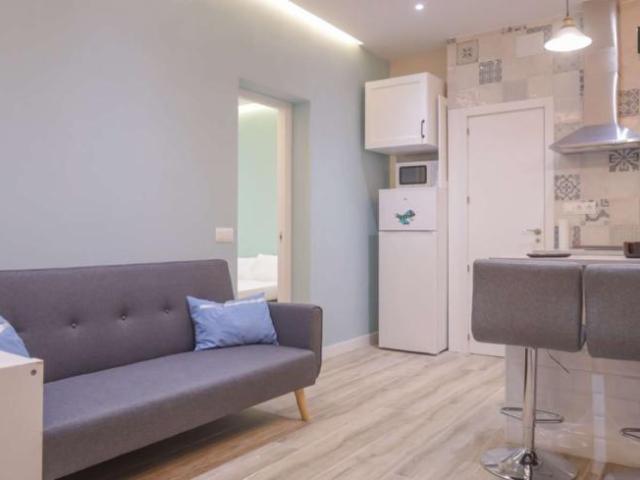 Apartamentos Madrid Madrid 101806906