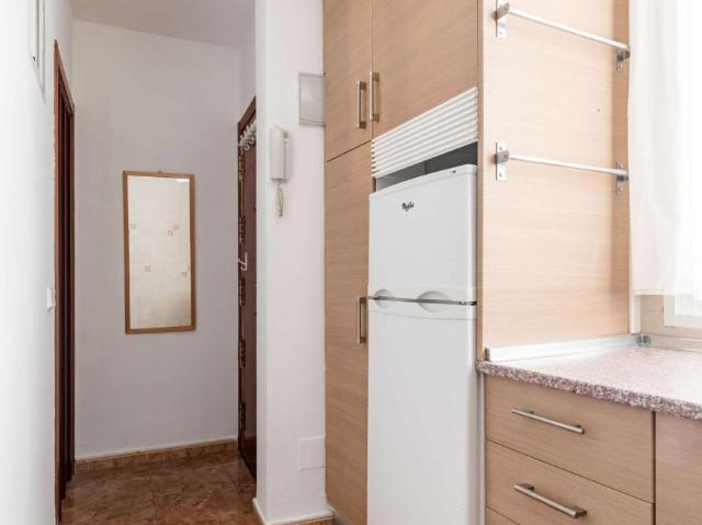 Apartamentos Madrid Madrid 101806146
