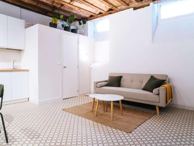 Apartamentos Madrid Madrid 101806388