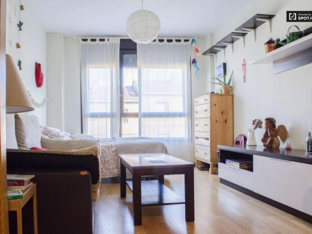 Apartamentos Madrid Madrid 101809448