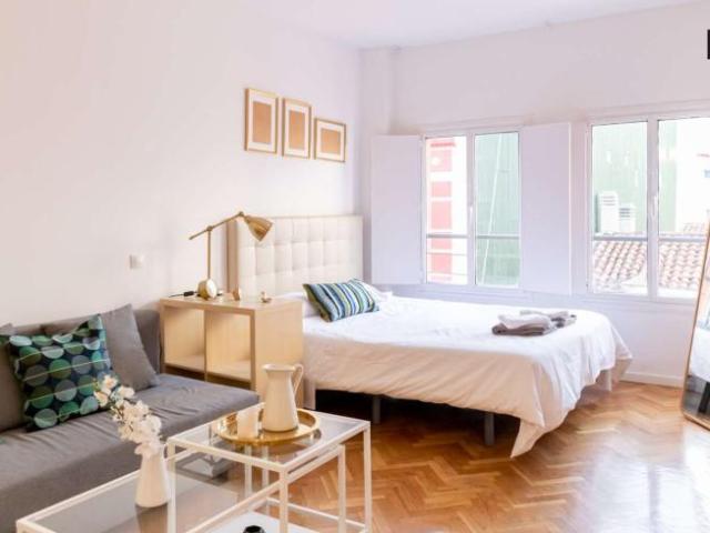 Apartamentos Madrid Madrid 101809319