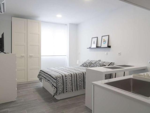 Apartamentos Madrid Madrid 101810543