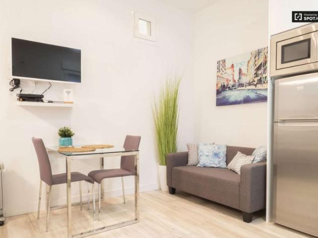 Apartamentos Madrid Madrid 101810147