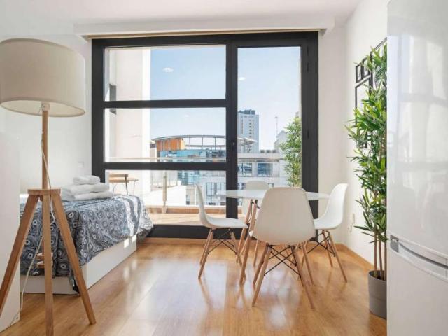 Apartamentos Madrid Madrid 101811325