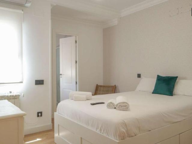 Apartamentos Madrid Madrid 101813487