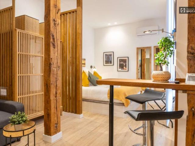 Apartamentos Madrid Madrid 101813266