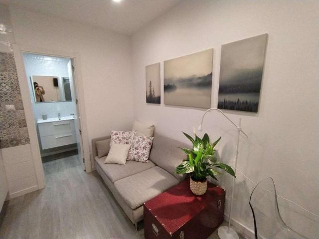 Apartamentos Madrid Madrid 101814558