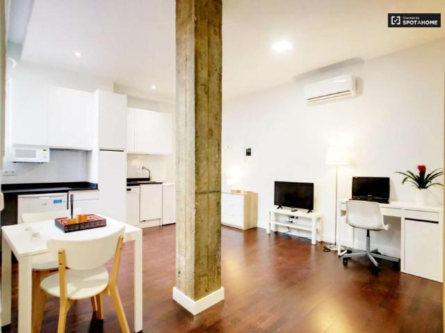 Apartamentos Madrid Madrid 101815357