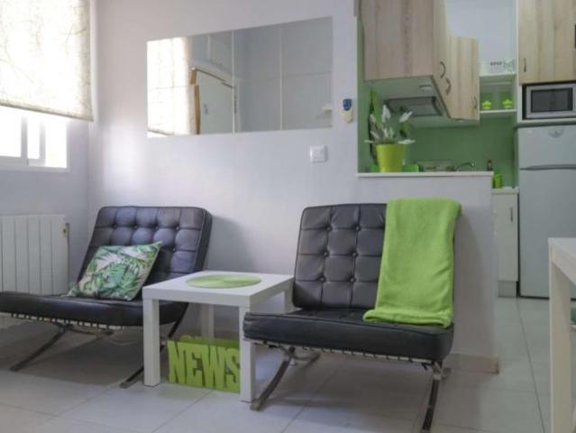 Apartamentos Madrid Madrid 101816635