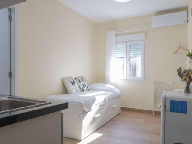 Apartamentos Madrid Madrid 101817616