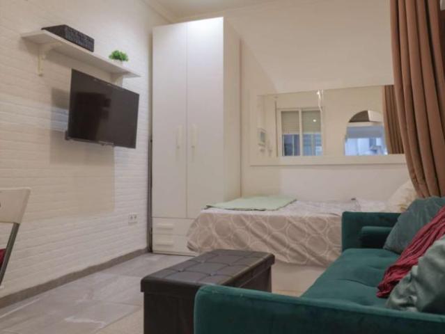 Apartamentos Madrid Madrid 101818329