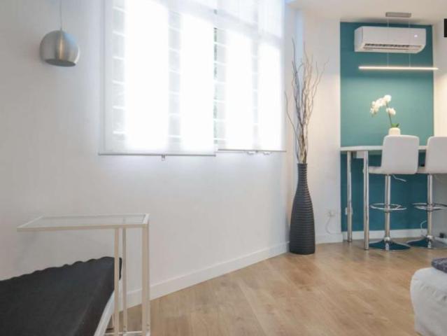 Apartamentos Madrid Madrid 101819612