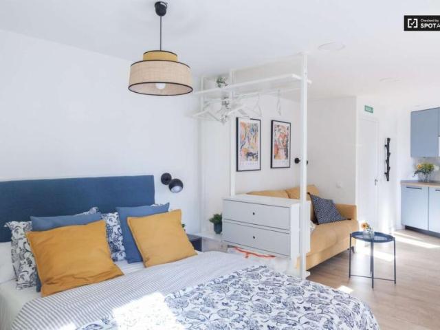 Apartamentos Madrid Madrid 101822411
