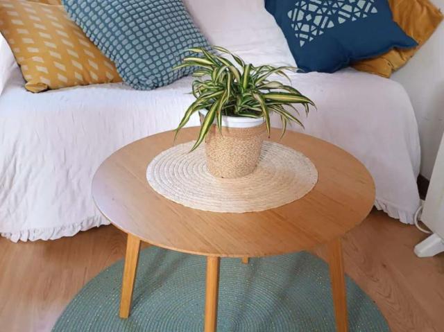Apartamentos Madrid Madrid 101834938