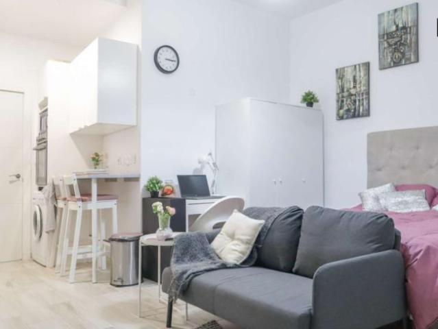 Apartamentos Madrid Madrid 101835209