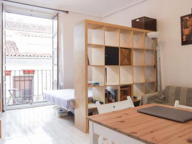 Apartamentos Madrid Madrid 101836488