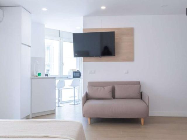Apartamentos Madrid Madrid 101836216