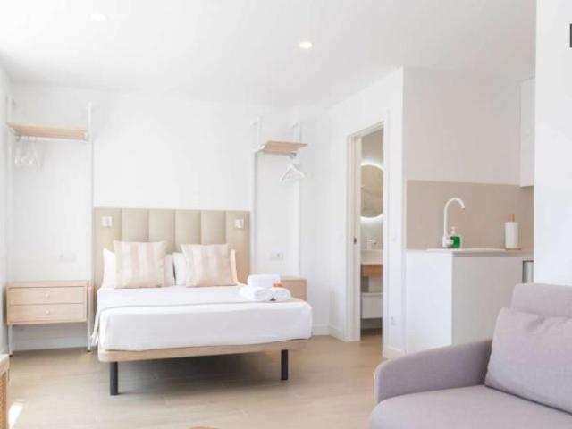 Apartamentos Madrid Madrid 101836310
