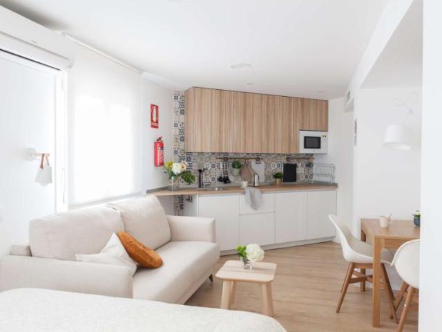 Apartamentos Madrid Madrid 101840142