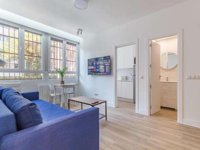Apartamentos Madrid Madrid 101842572