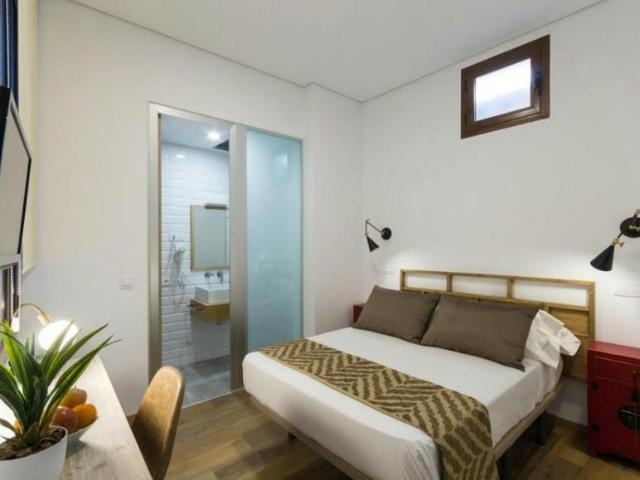 Apartamentos Madrid Madrid 101845869