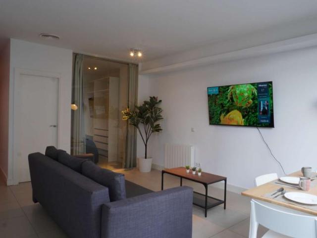 Apartamentos Madrid Madrid 101846068