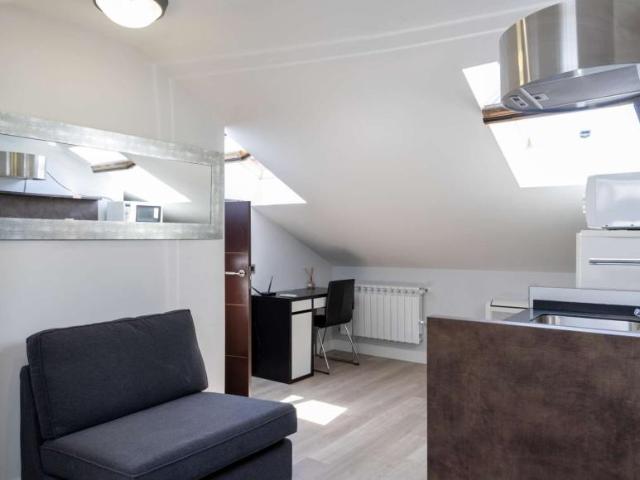 Apartamentos Madrid Madrid 101847099
