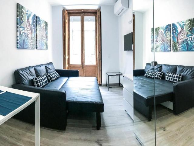 Apartamentos Madrid Madrid 101848211