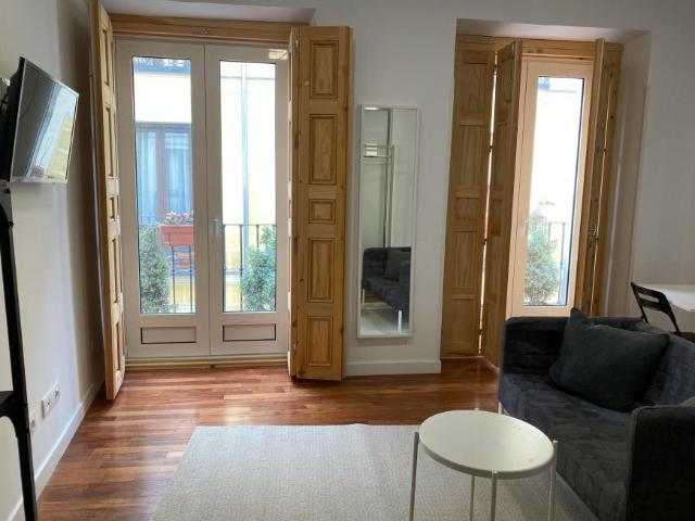 Apartamentos Madrid Madrid 101850632