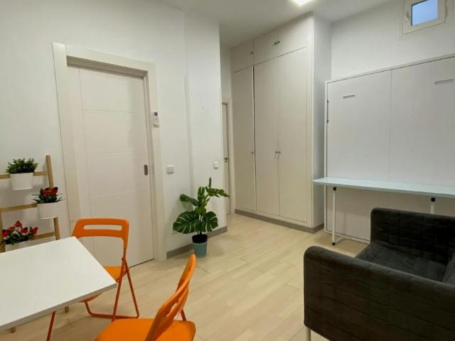 Apartamentos Madrid Madrid 101851671