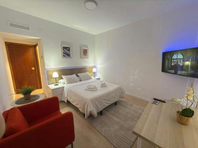 Apartamentos Madrid Madrid 101916949