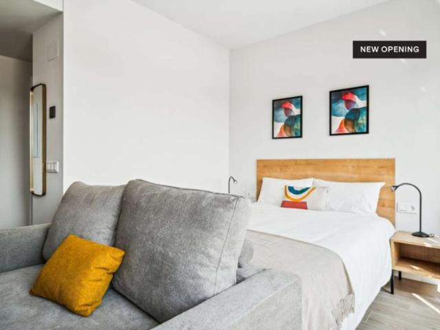 Apartamentos Madrid Madrid 101052735