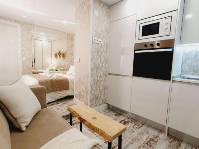 Apartamentos Madrid Madrid 101191424