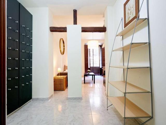 Apartamentos Madrid Madrid 101191175