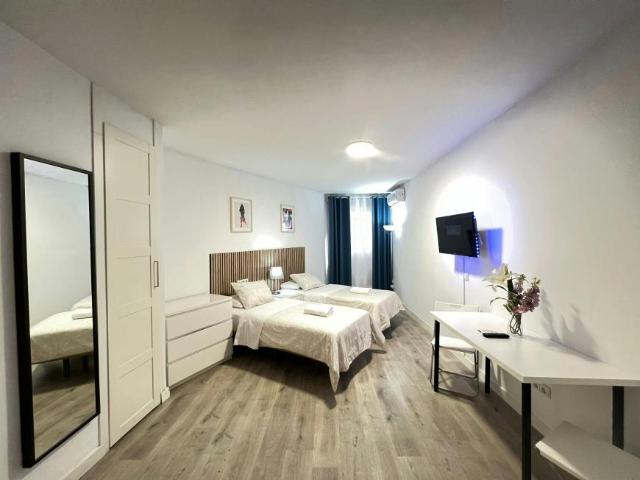 Apartamentos Madrid Madrid 101222610