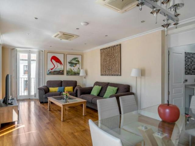 Apartamentos Madrid Madrid 101305646