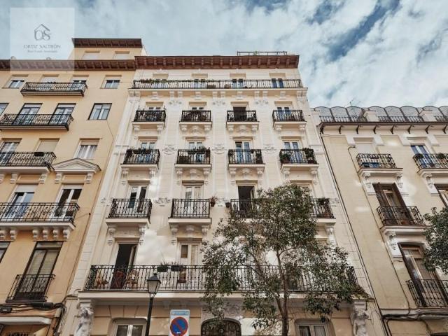 Apartamentos Madrid Madrid 102467883