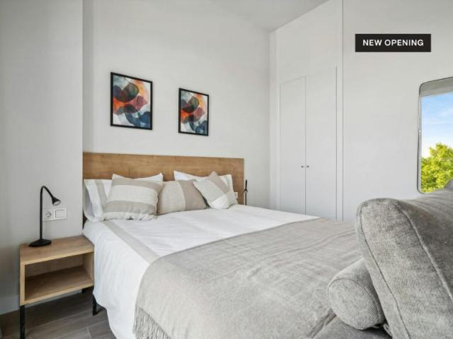 Apartamentos Madrid Madrid 102521325
